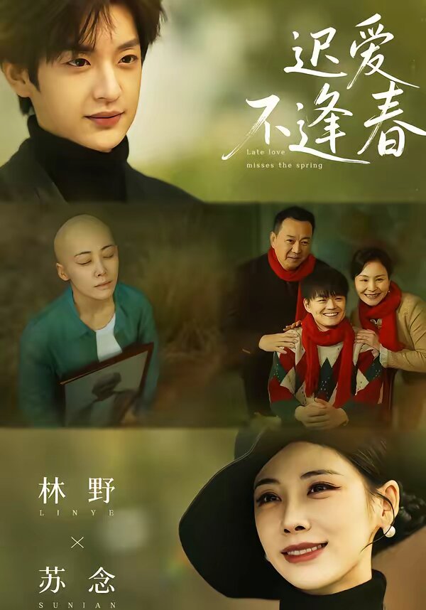 迟爱不逢春第14集