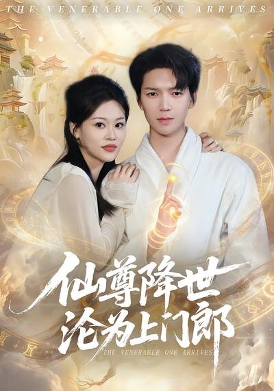 仙尊降世沦为上门郎第17集