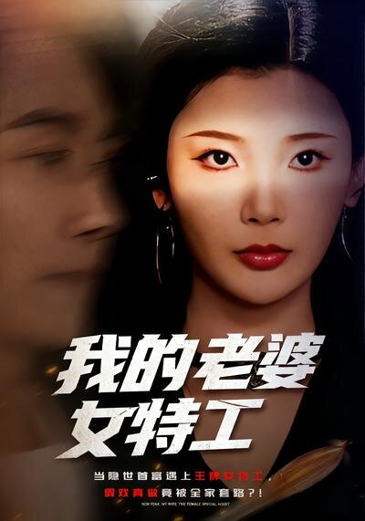 我的老婆女特工第01集