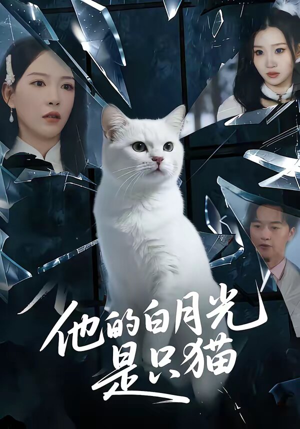 他的白月光是只猫第14集
