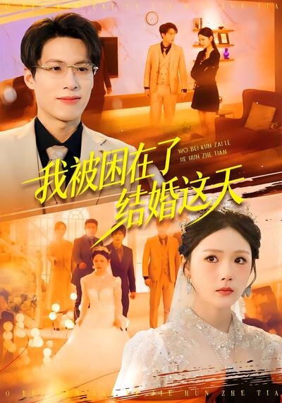 我被困在了结婚这天(全集)